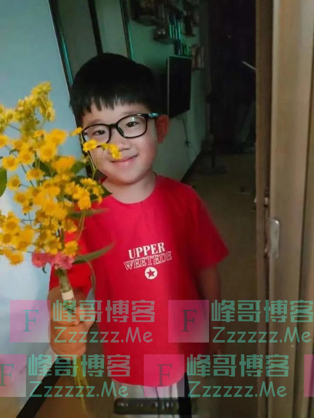 浙江6岁男孩一个操作火了！网友惊叹：我还不如一个孩子