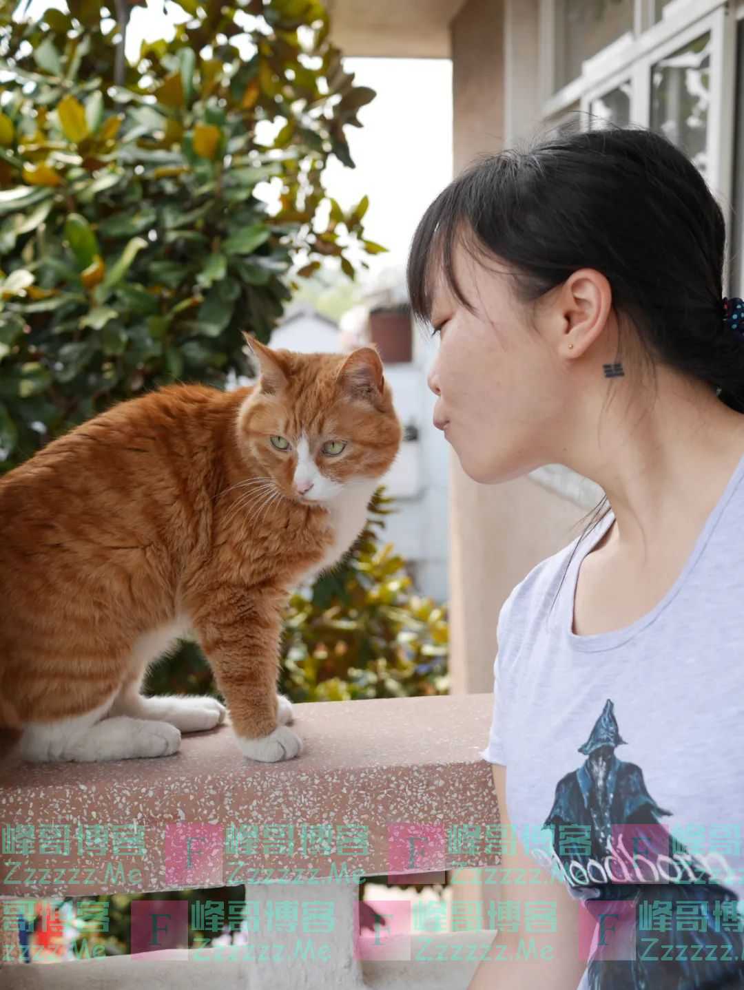 心情糟糕的时候，不妨幻想几只动物