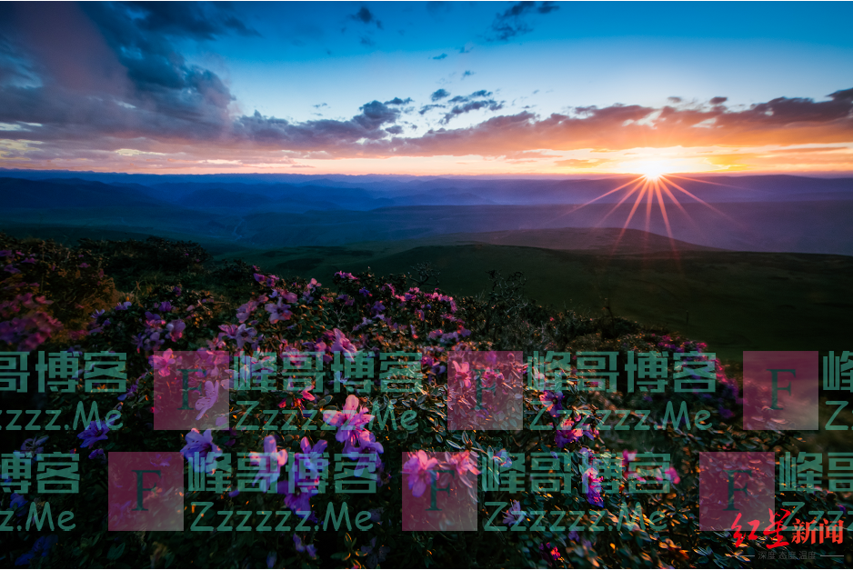 康定至折多山垭口段交通管制五个月，还能自驾国道318吗？多条绕行路线依然美