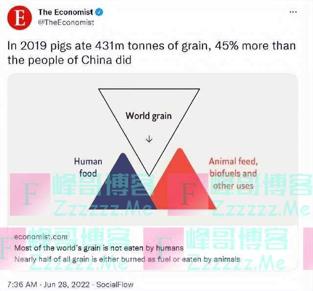 外媒：“猪比中国人吃得多”