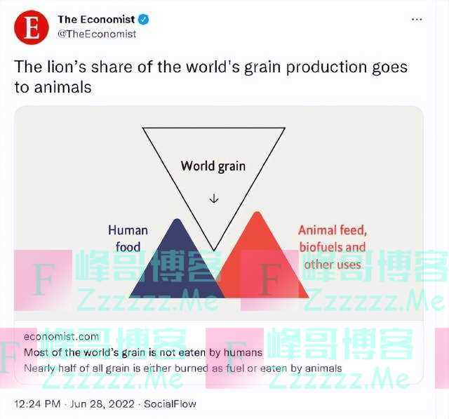 外媒：“猪比中国人吃得多”