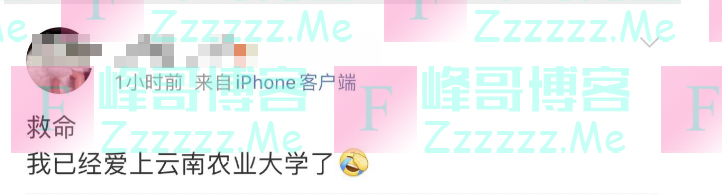 大学生宣传母校成“招生减章”？学校也来“蹭热点”了