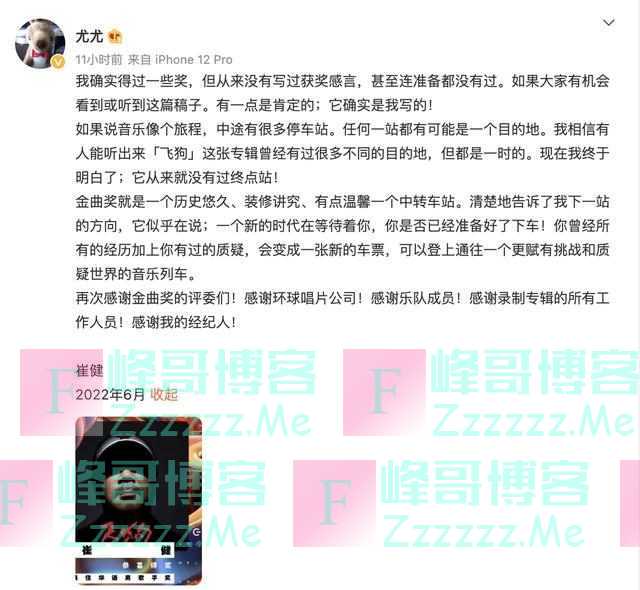 金曲奖“放榜”，崔健首获最佳华语男歌手，蔡健雅四夺最佳华语女歌手