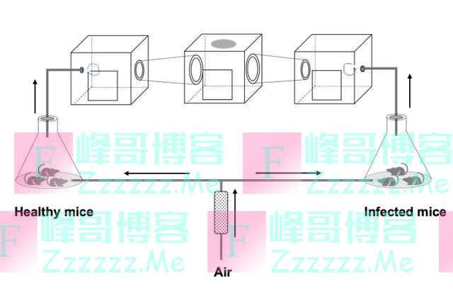 清华团队揭秘：为什么这些人更受蚊子青睐？