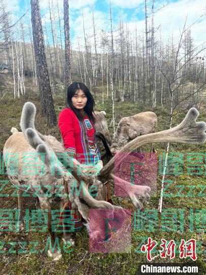 中国最后的使鹿部落：延绵泛北极圈生态链