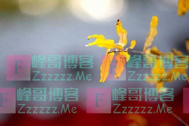 夜读丨人老了，有四件事宁愿烂在肚子里，也不能对子女说，切记