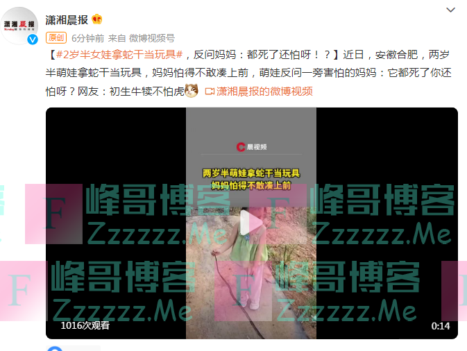 2岁半女娃拿蛇干当玩具，反问妈妈：都死了还怕呀！