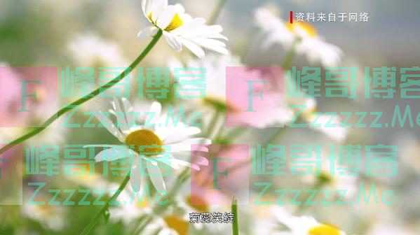 【网络中国节·重阳】九九重阳③：重阳节的习俗（下）