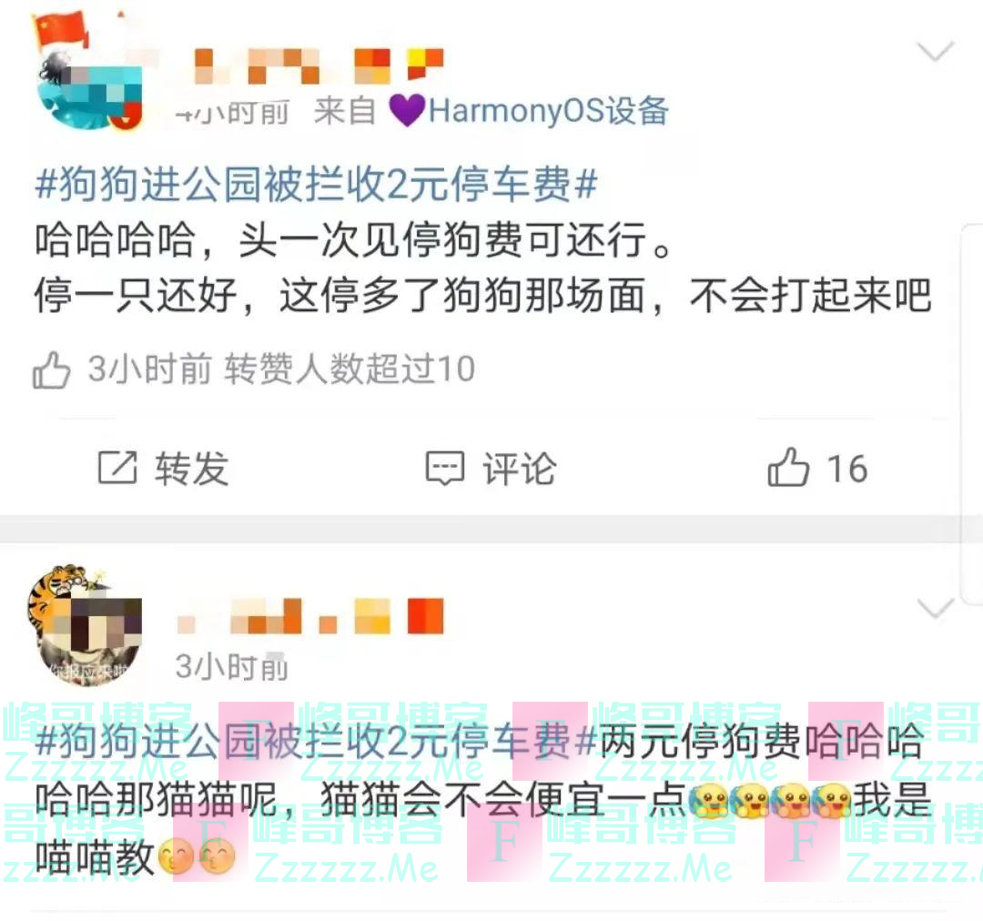 2块钱，把狗子停一下！小狗被禁入公园后，主人为它在门口付了“停狗费”