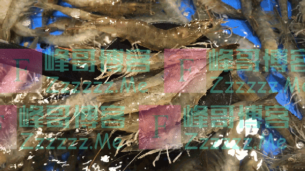 为什么超市卖的冻虾裹了一层厚厚的冰？是为了压秤吗？