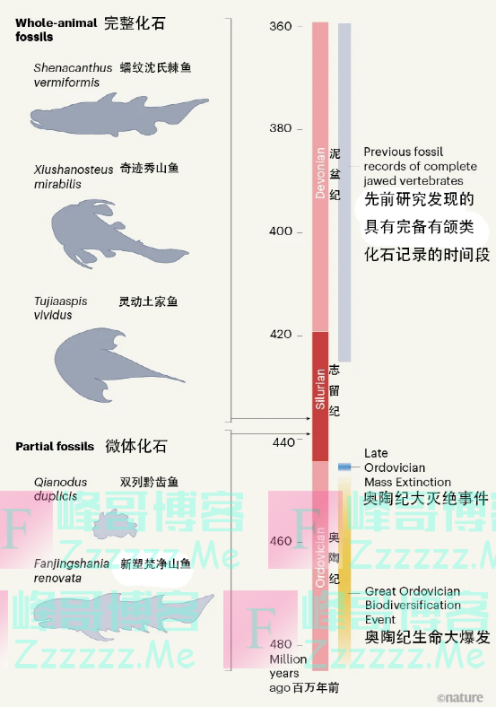 当我们吃鱼时，是在吃自己的祖先吗？