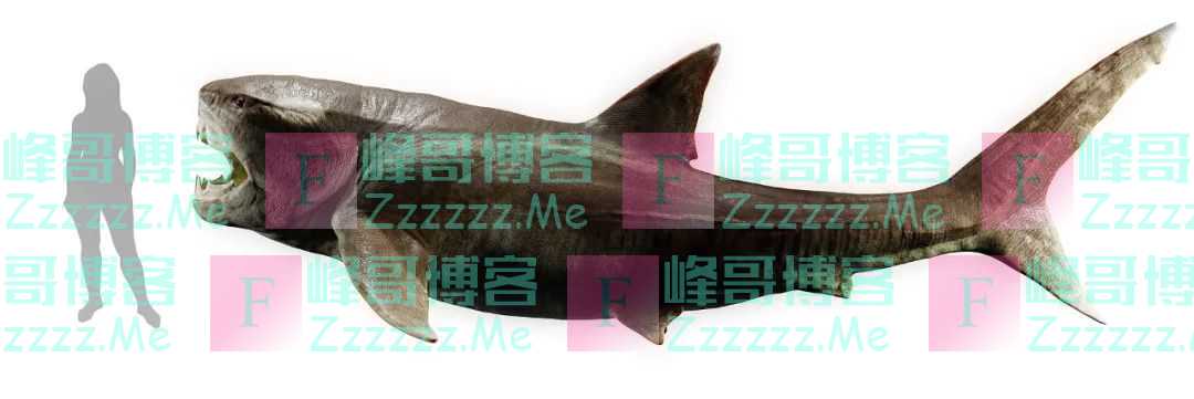 当我们吃鱼时，是在吃自己的祖先吗？