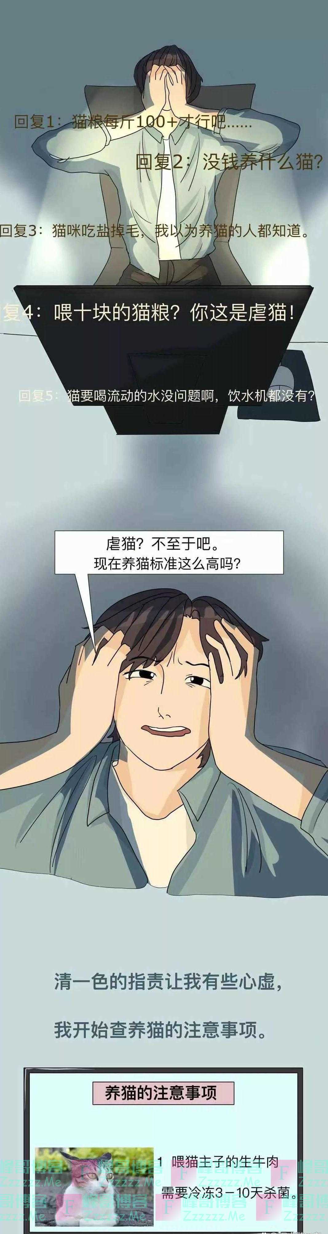 “我给它一个家，你却怪我没给它吃肉”，这就叫虐猫了？