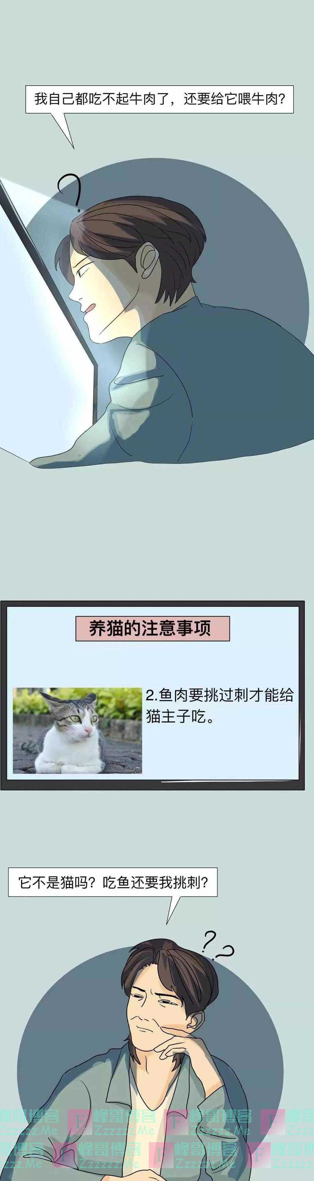 “我给它一个家，你却怪我没给它吃肉”，这就叫虐猫了？