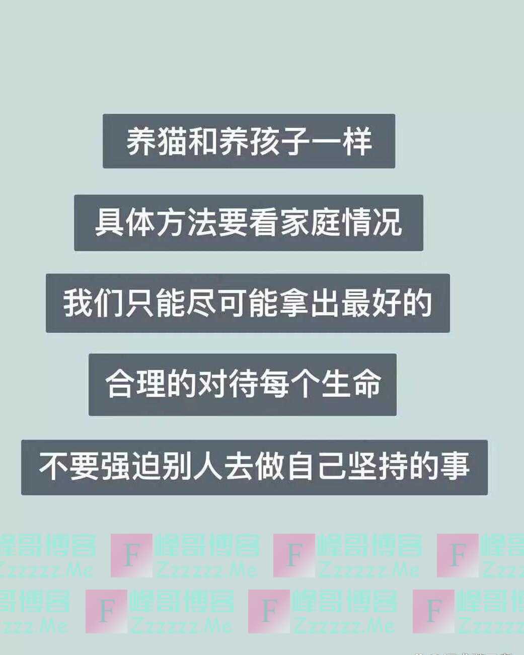“我给它一个家，你却怪我没给它吃肉”，这就叫虐猫了？
