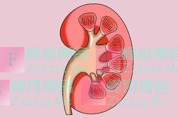 豆腐营养价值高，但并非所有人都适合，3类人建议少碰