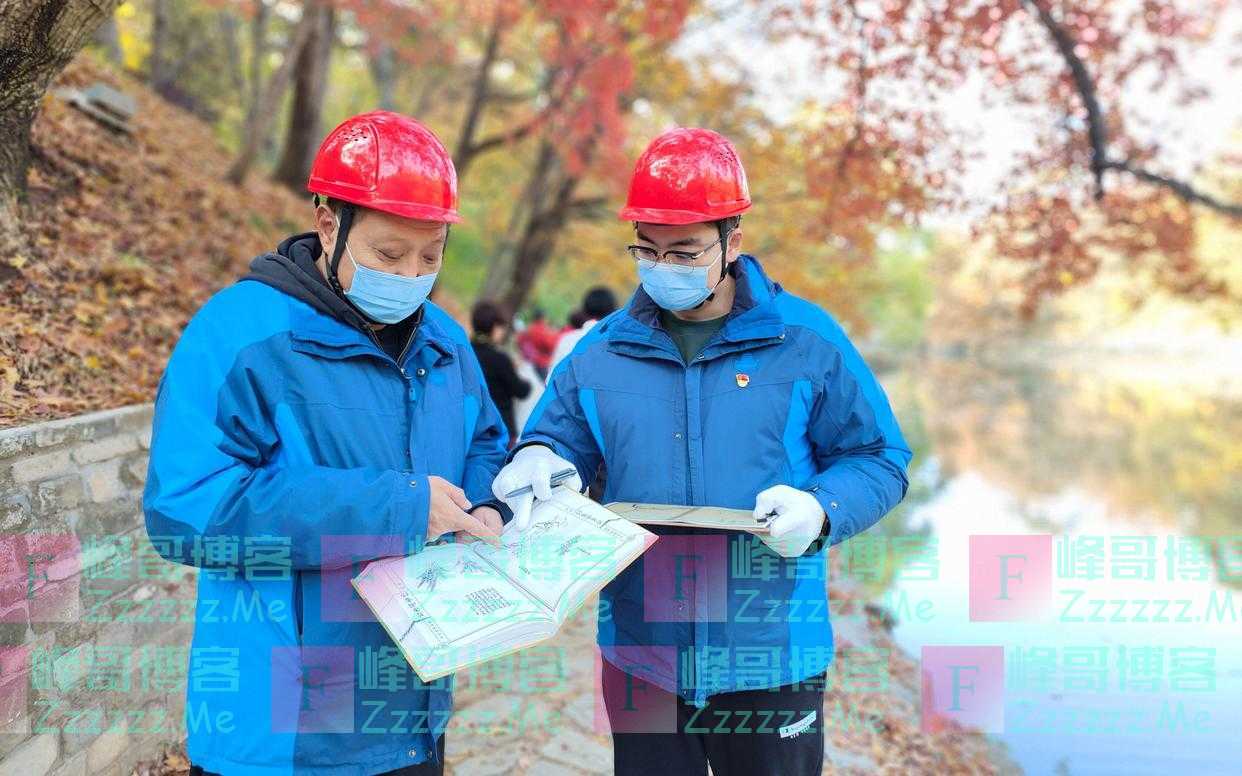 网红秋景如何打造？颐和园大树修剪班班长有一本古画“秘籍”