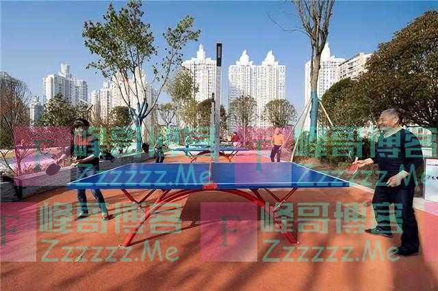 建议中老年人：天气转凉，多喝这“4种饮品”，营养价值高还好喝