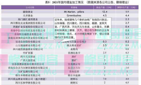 赣锋锂业副总裁：应避免一窝蜂上马锂矿项目，致锂矿价格虚高