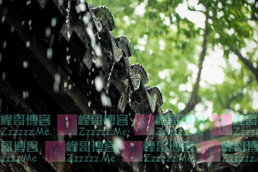 4种“湿气菜”、“湿气果”，越吃湿气越重！偏偏有人样样都爱！这样扫除寒湿，脾胃更强