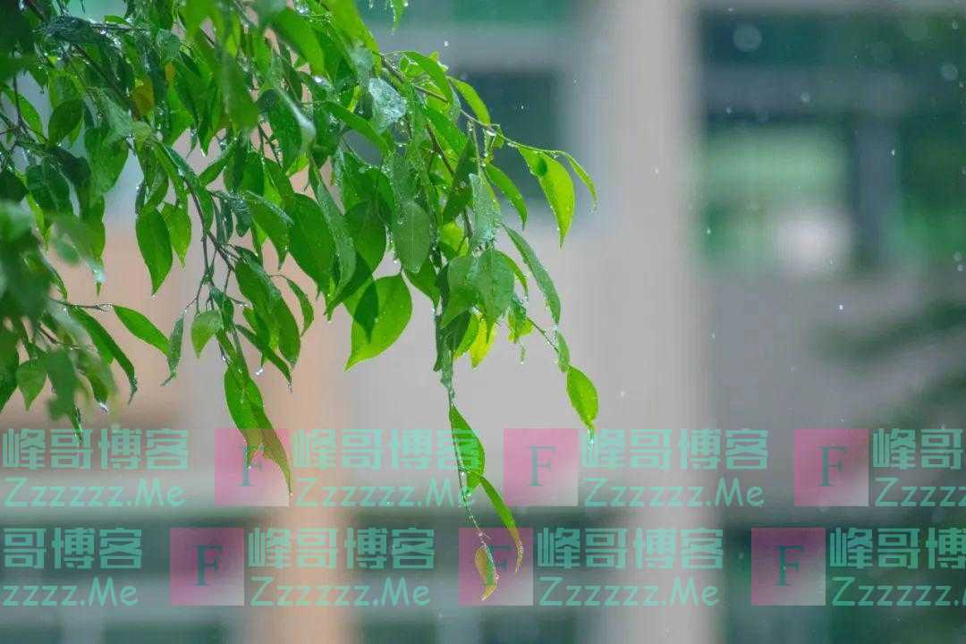 4种“湿气菜”、“湿气果”，越吃湿气越重！偏偏有人样样都爱！这样扫除寒湿，脾胃更强