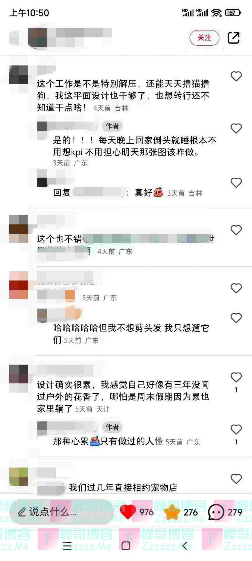 985高校女大学生裸辞深圳大公司：宁给宠物做美容，不愿“心累”搞设计