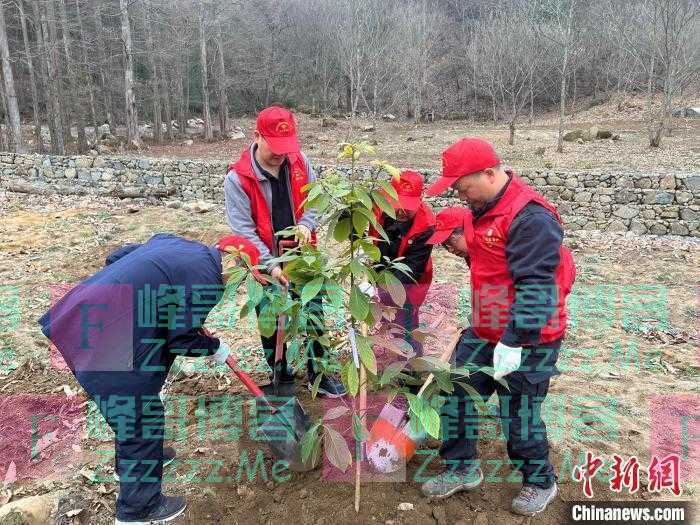 120株三峡库区珍稀植物“重返”原生地