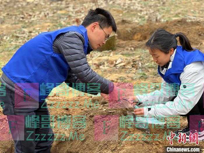 120株三峡库区珍稀植物“重返”原生地