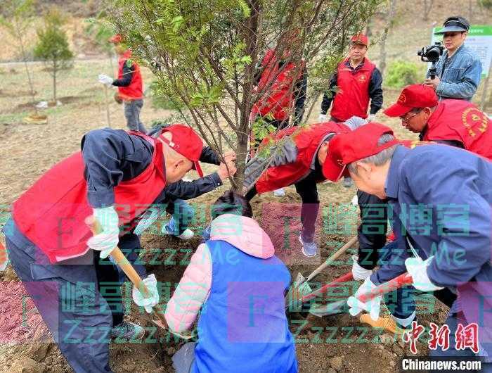 120株三峡库区珍稀植物“重返”原生地