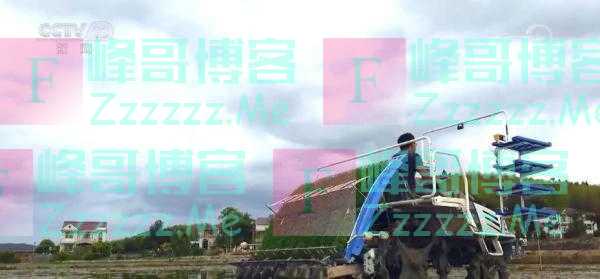 全国早稻育秧已完成41.8% 进度同比快4.3个百分点
