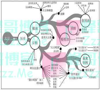 美国大豆：注定成功？侥幸走运？