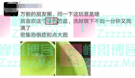 紧急提醒！最近少穿黄色、绿色衣服出门
