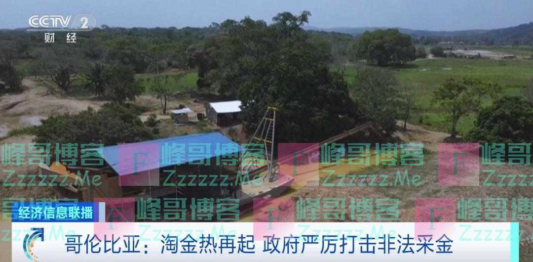 金价飞涨，居民去河里淘金，有人一天采2公斤，这个国家总统怒了！