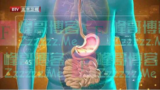 “过午不食”可以降体重、控血糖？这2类人不适合！别轻易尝试