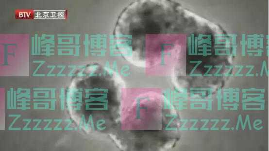 “过午不食”可以降体重、控血糖？这2类人不适合！别轻易尝试
