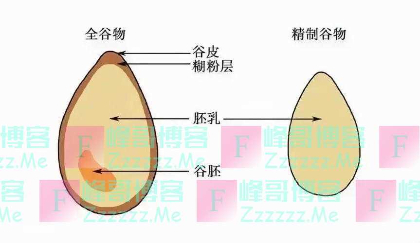 新研究：国人全谷物摄入量都没达标