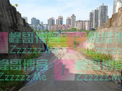 足坛黑雾