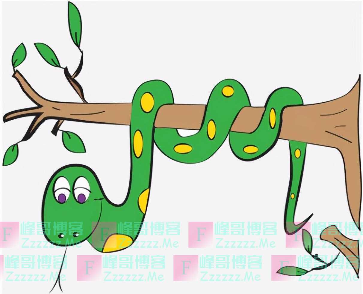 为什么说打蛇时，要么不打，要打就打死？