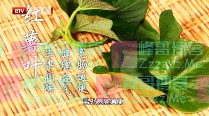 “长寿菜”就在我们身边！防便秘、补脾胃，控三高！8月吃最鲜嫩