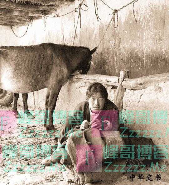 老照片再现西藏农奴的悲惨生活：睡牛棚，被当马骑，戴铁链干活