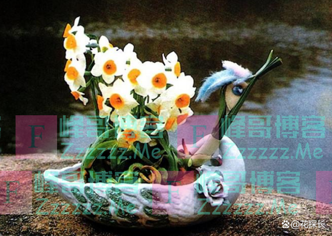 “毒花进家门，花旺人不旺”！这5种花，趁早“请”出去吧！