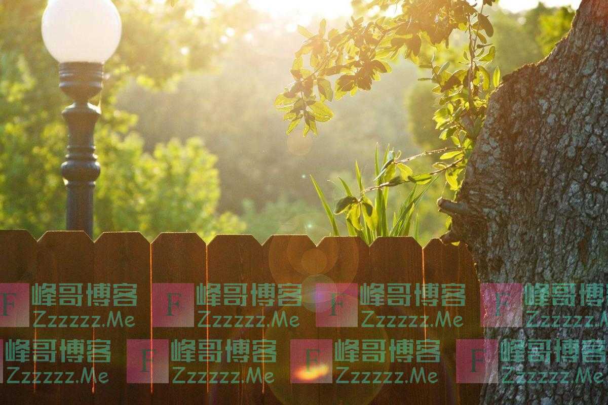 永远不要让这些人来家里串门，不管关系有多好