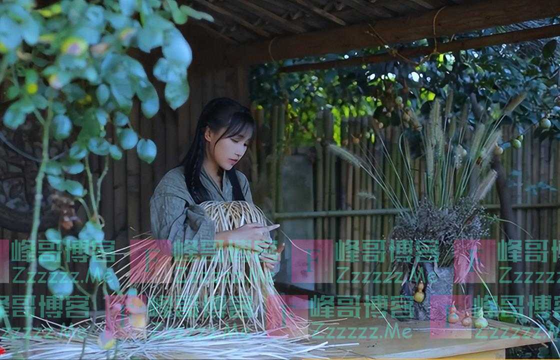 时隔一年，重看“李子柒”庭院，才发现那个“人间仙境”并不真实