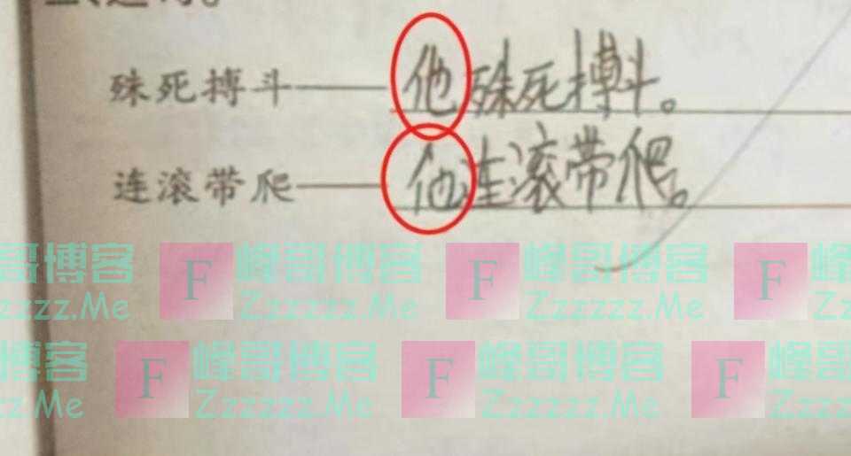 “最懒小学生”作业走红，老师批改时左右为难，却挑不出错在哪里