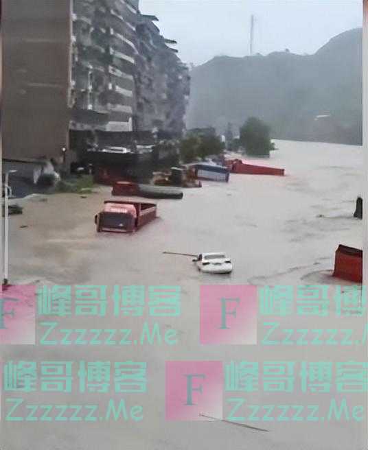 四川达州突降暴雨，大量动物在逃难，暗示什么？