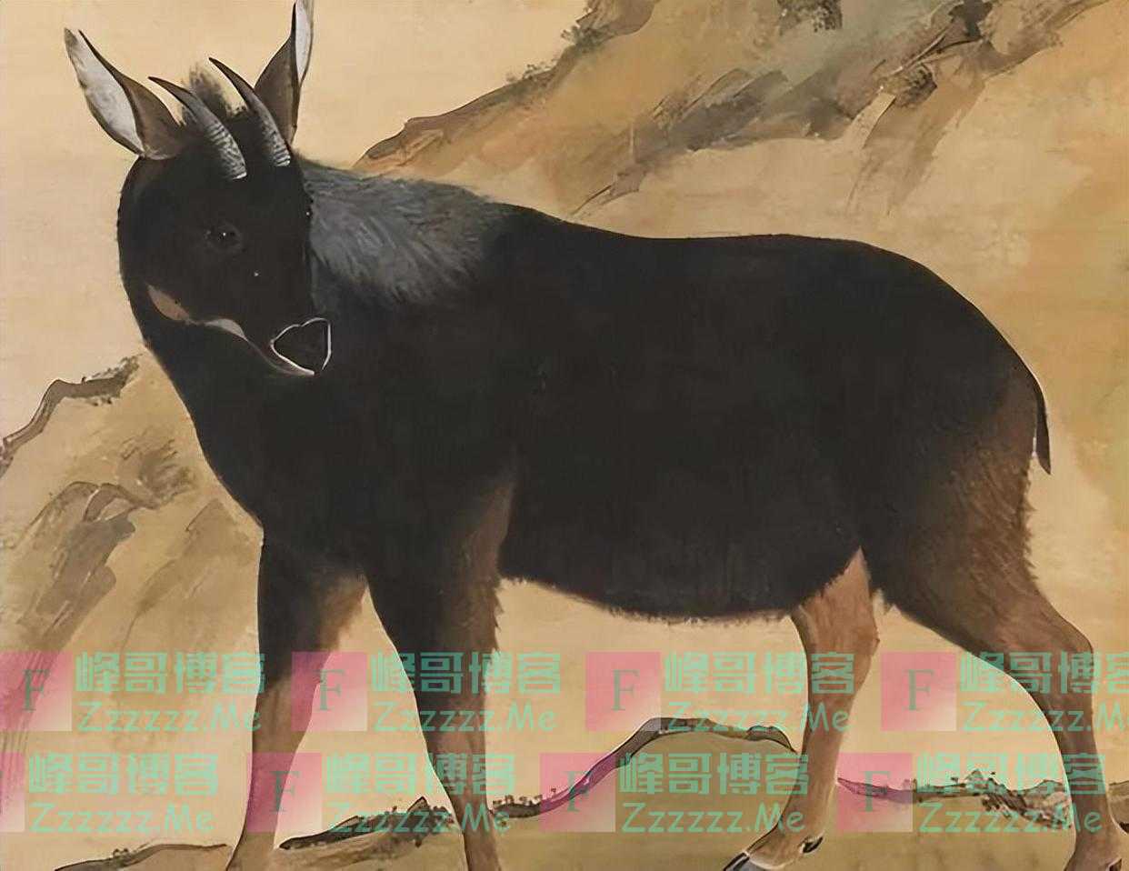 “四不像”“天马”，原来都是你！