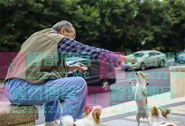 俗语：“老泻残精，人穷寿尽”，什么意思？到了晚年，谨记四不做