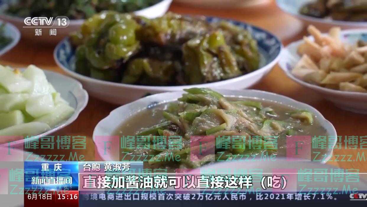 她带着父亲照片回乡祭祖 又捧一抔泥土带到台湾：要让晚辈知道我们是中国人