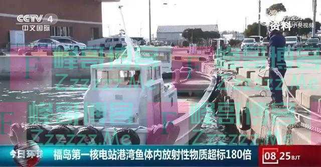 2023“离奇悬疑案”：输台的3000吨美猪产品去哪了？