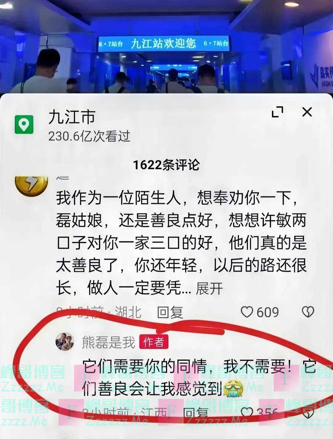 三石回九江为姚策过冥寿，再次称呼许妈为它们，扬言她不需要同情